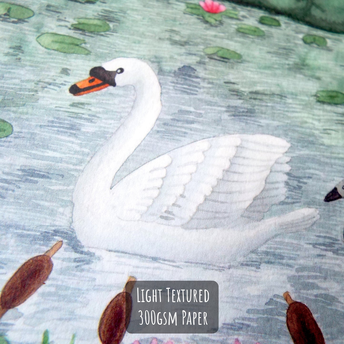 Swan and Cygnet Art Print close up showing the details and textures of the illustration and paper stock