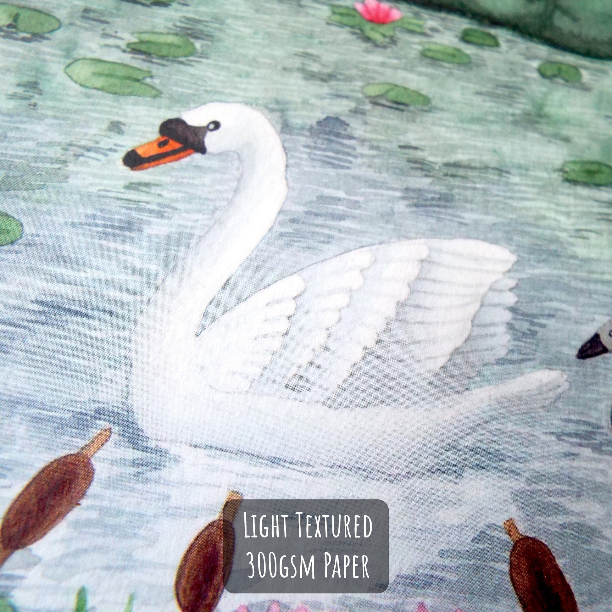 Swan and Cygnet Art Print close up showing the details and textures of the illustration and paper stock