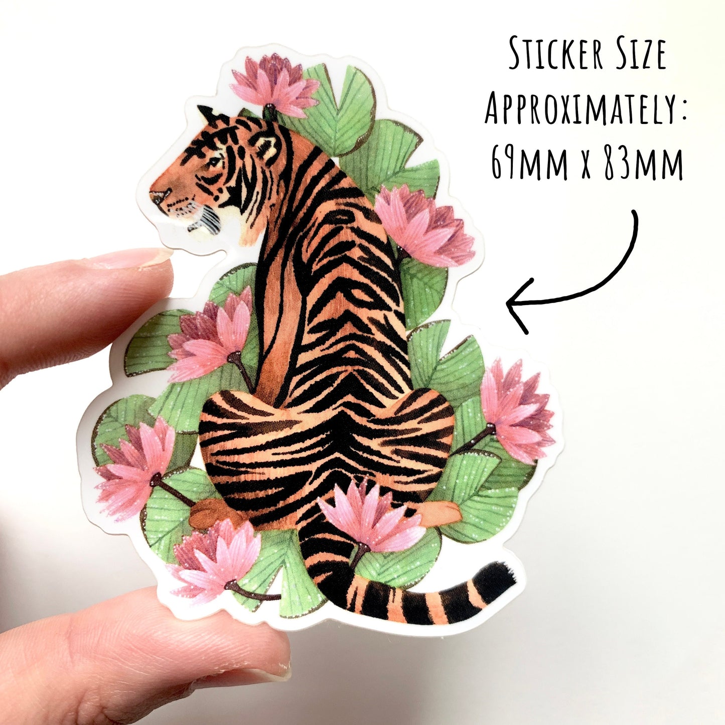Tiger and Pink Lilies Sticker size which is approximately 69mm x 83mm.