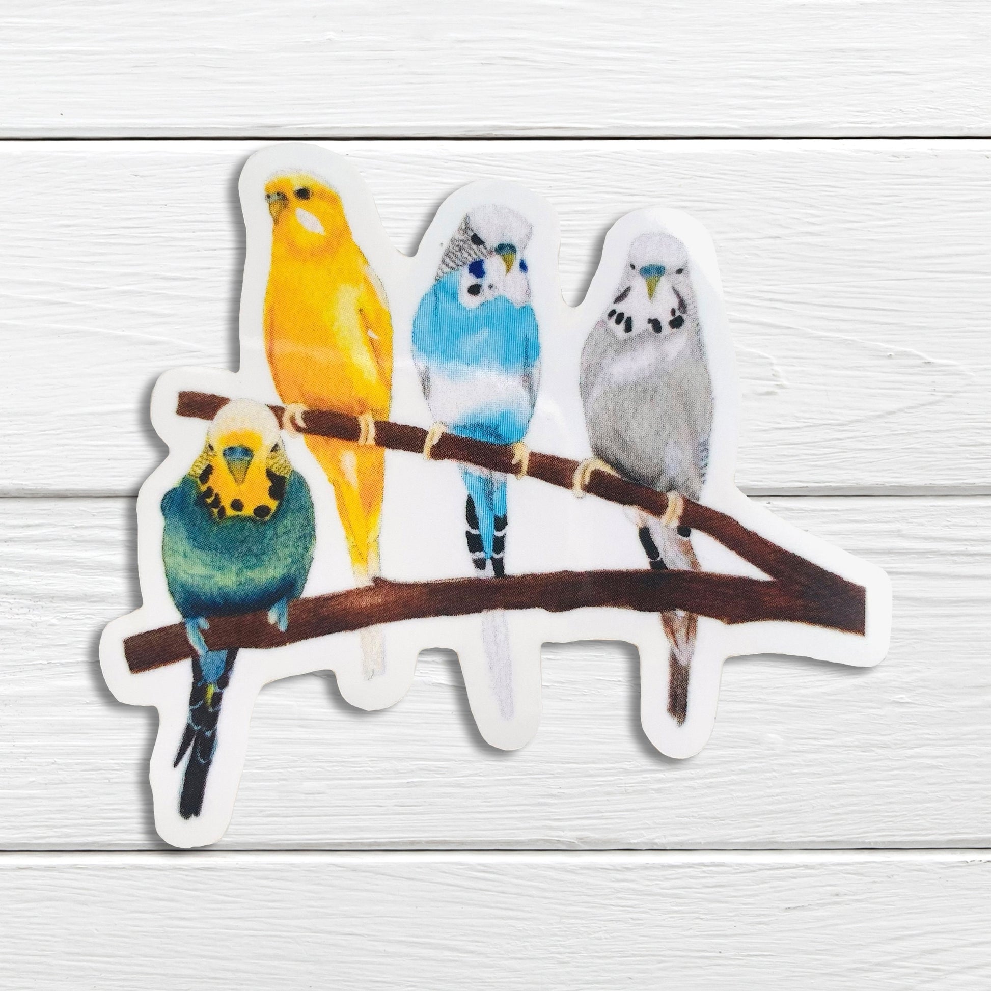 A sticker featuring four colorful budgies sitting on a branch.