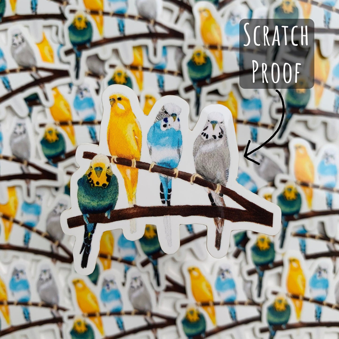 Vibrant Budgie Birds sticker with out of focused Vibrant Budgie Birds stickers in the background with the text scratch proof.