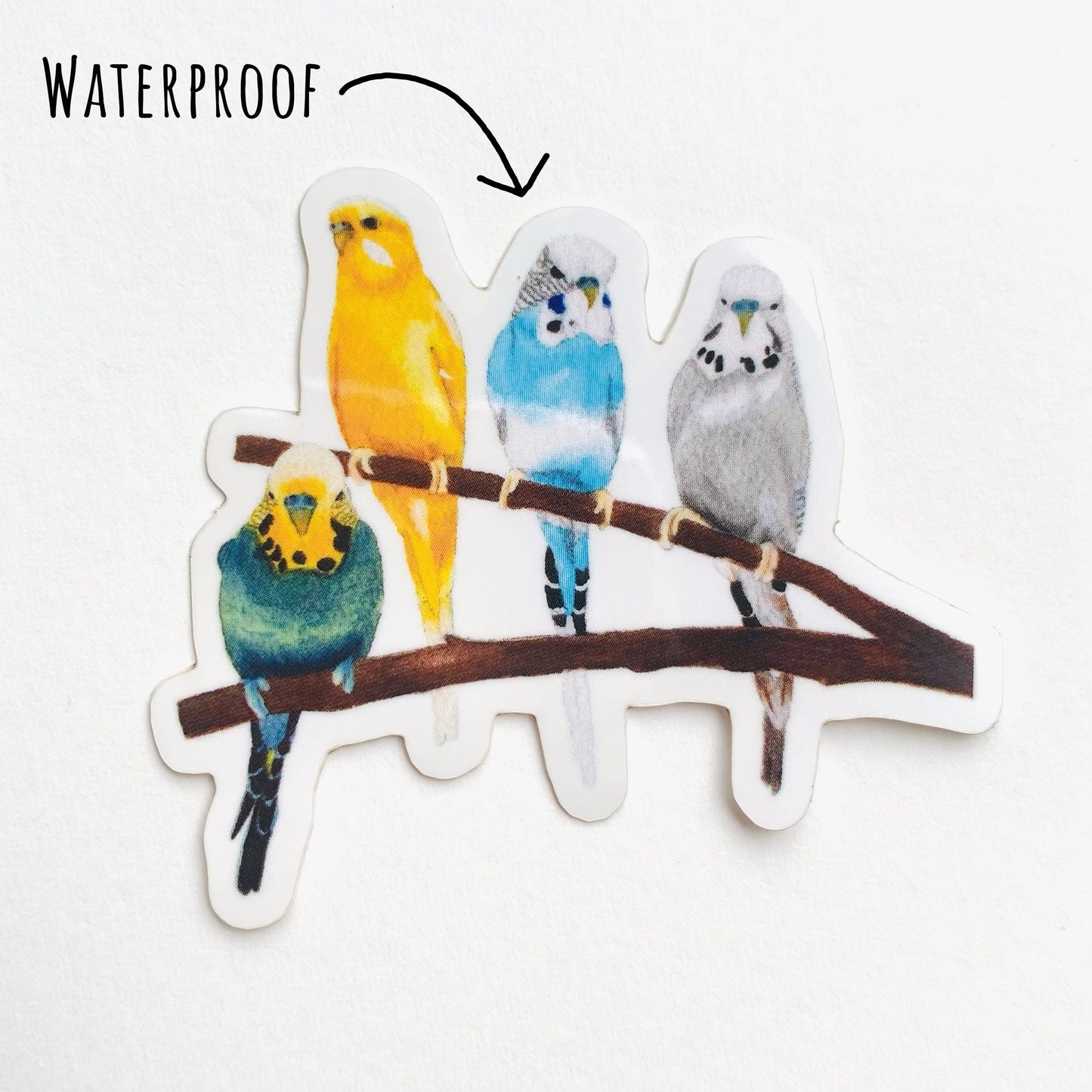 Vibrant Budgie Birds sticker laying flat on a white surface with the text waterproof.