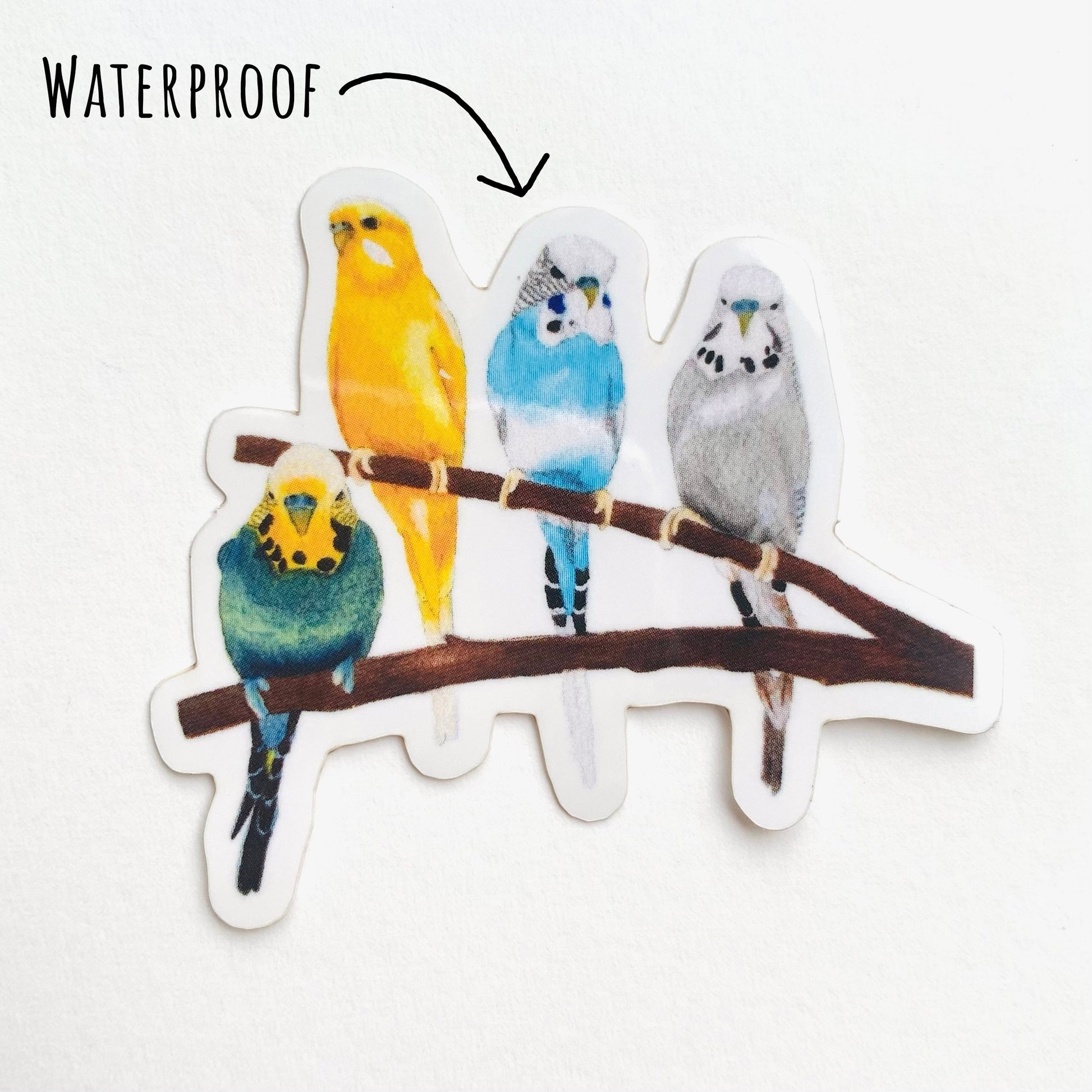 Vibrant Budgie Birds sticker laying flat on a white surface with the text waterproof.