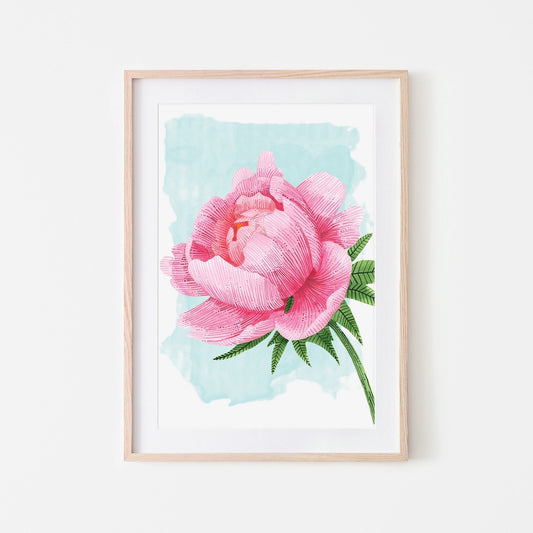 A vibrant pink peony flower art print with a blue background, presented in a framed style.