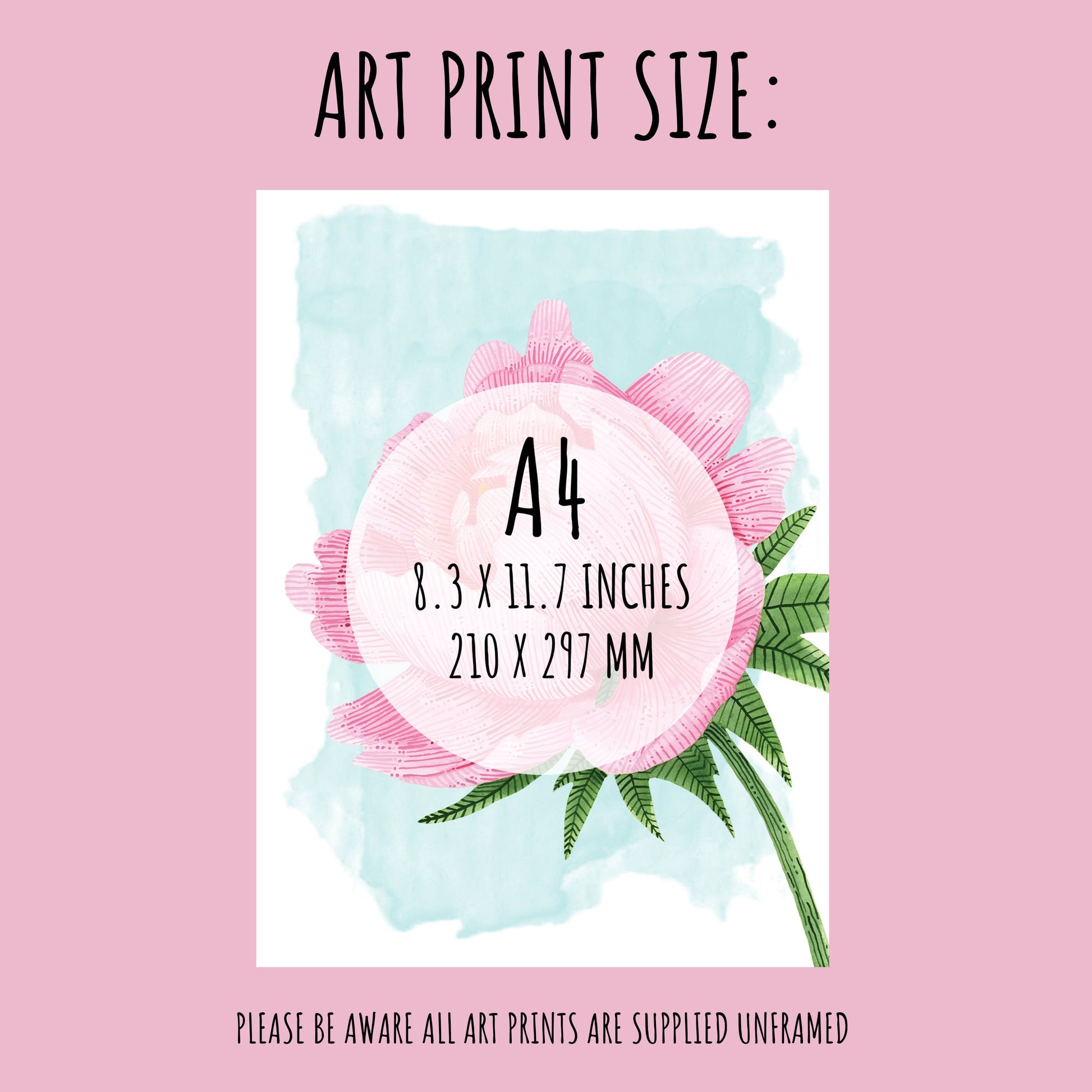 Showing the size of the pink peony art print. size A4 (210 x 297 mm)