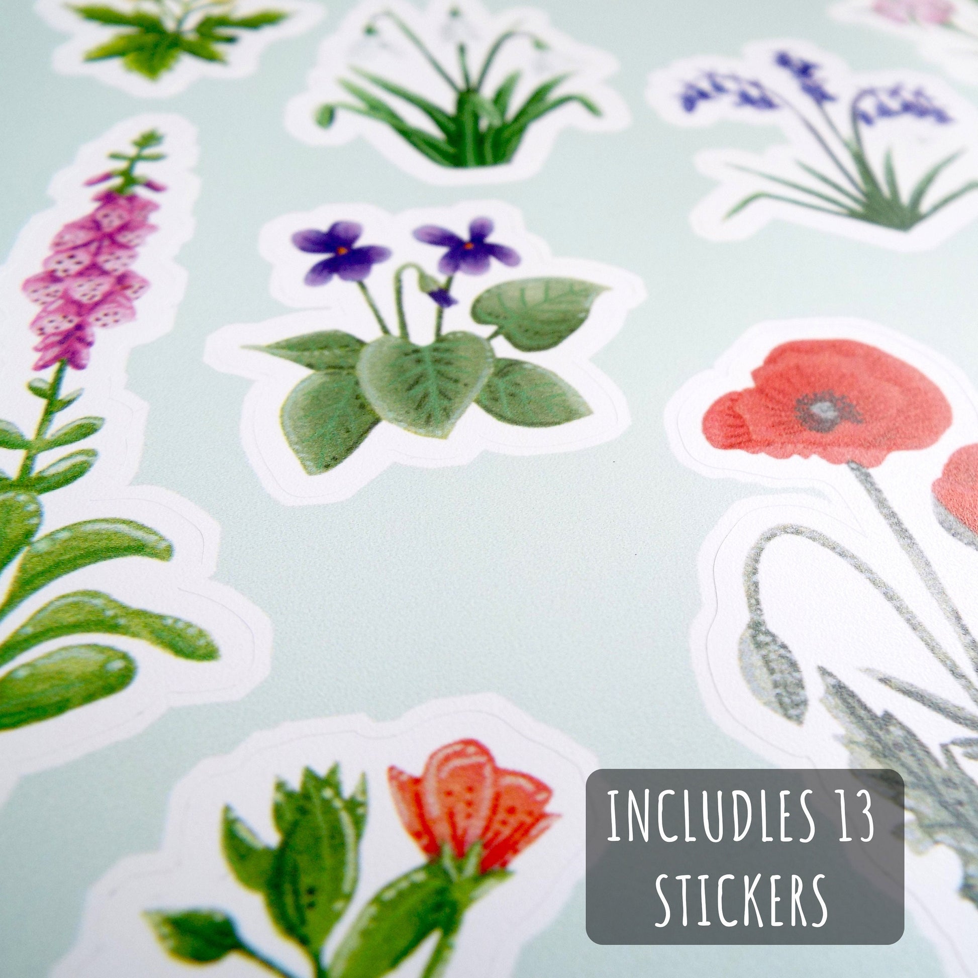 Watercolour Wildflower Sticker Sheet close up showing the details of the stickers with the text includes 13 stickers.