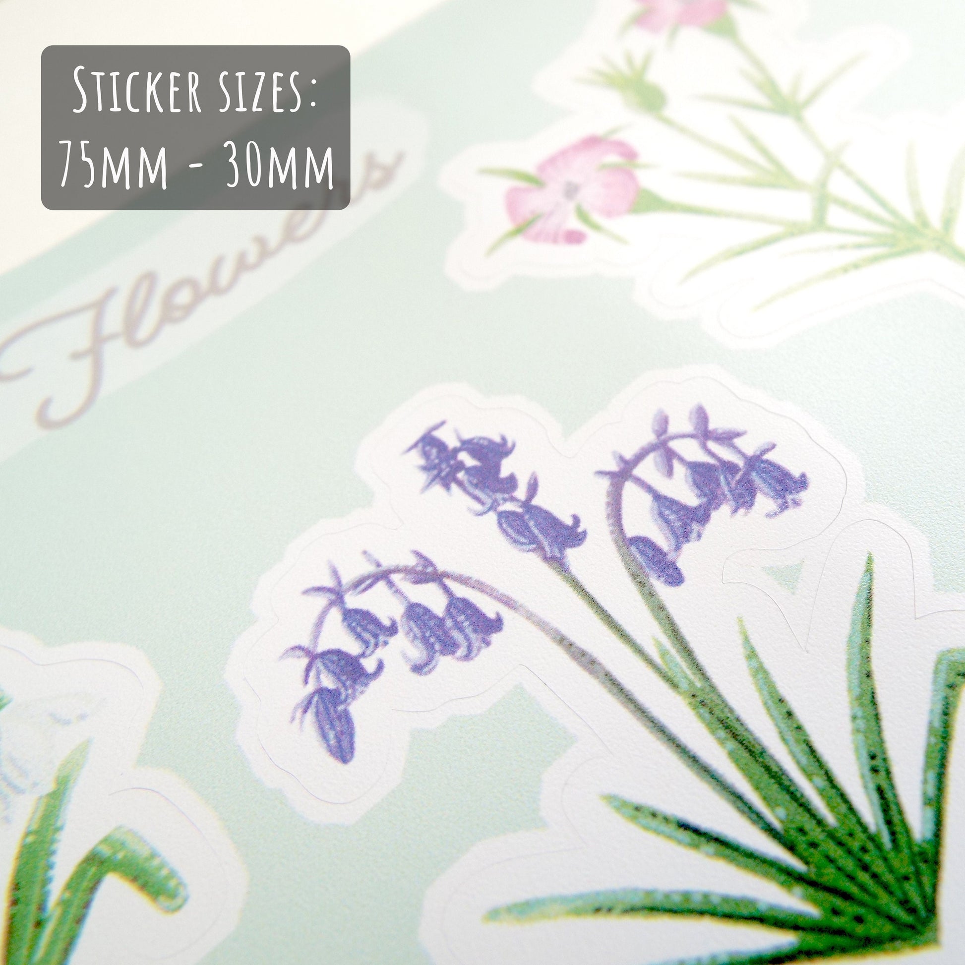 Watercolour Wildflower Sticker Sheet close up showing the details of the stickers with the text sticker sizes: 72mm - 30mm.