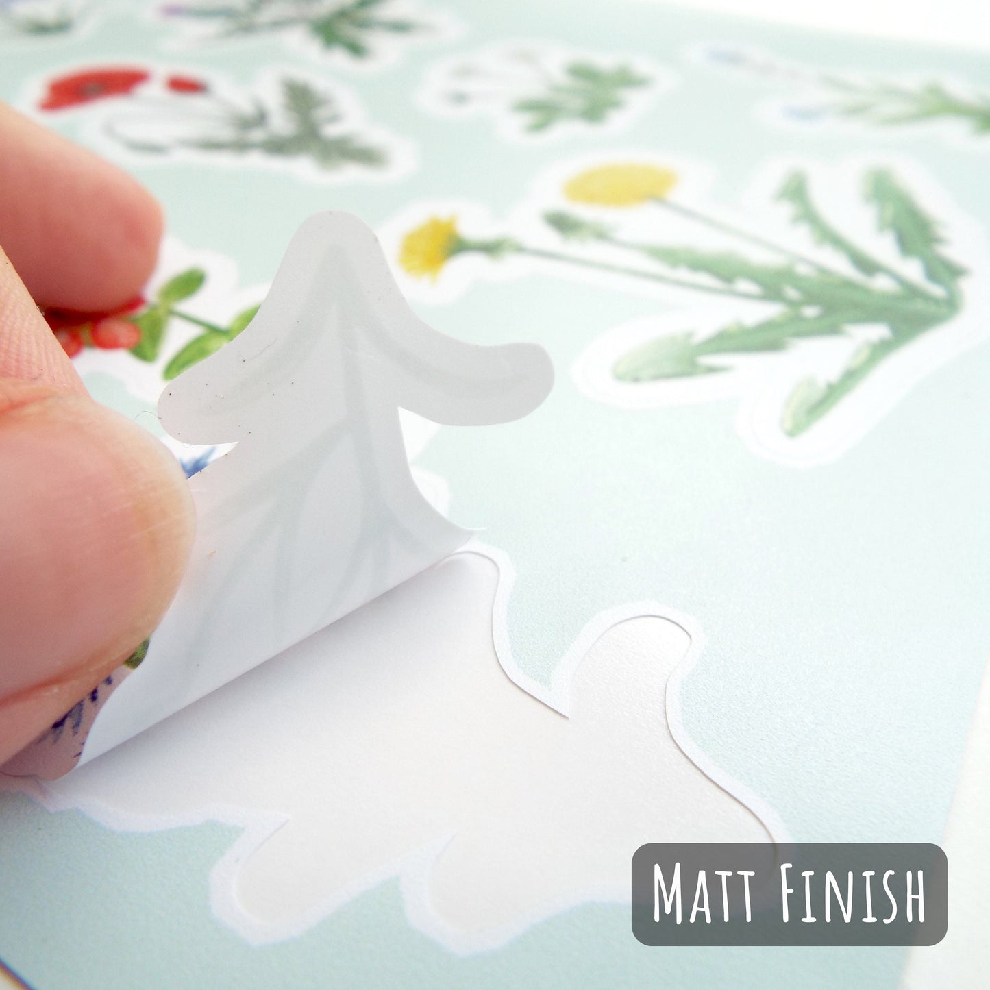 Watercolour Wildflower Sticker Sheet showing a sticker being peeled off the sheet the the text matt finish.