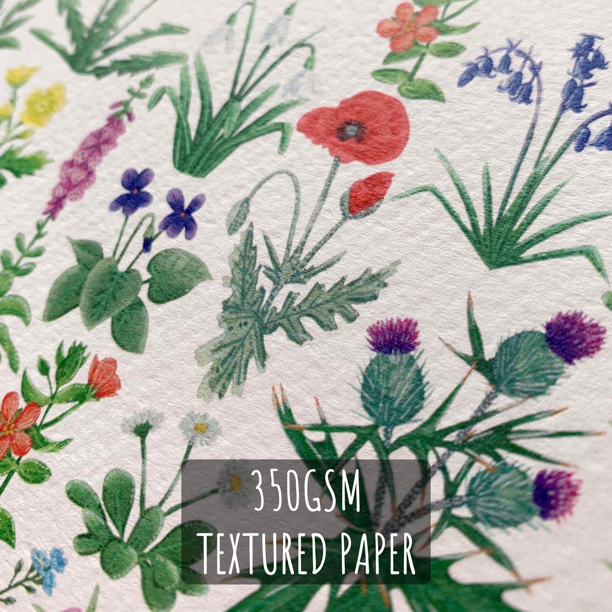 Wildflowers Birthday Card close up showing the details of the illustration and paper stock. with the text 35gsm textured paper.