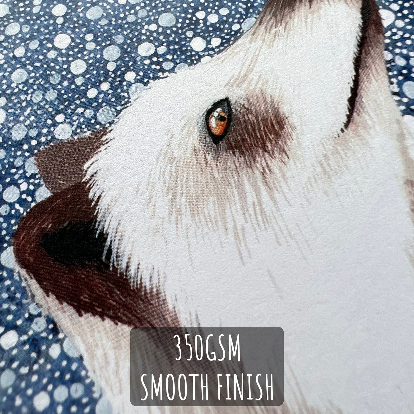 Winter Arctic Fox Christmas Card close up showing the details and textures of the illustration and paper stock. With text 350gsm smooth finish.