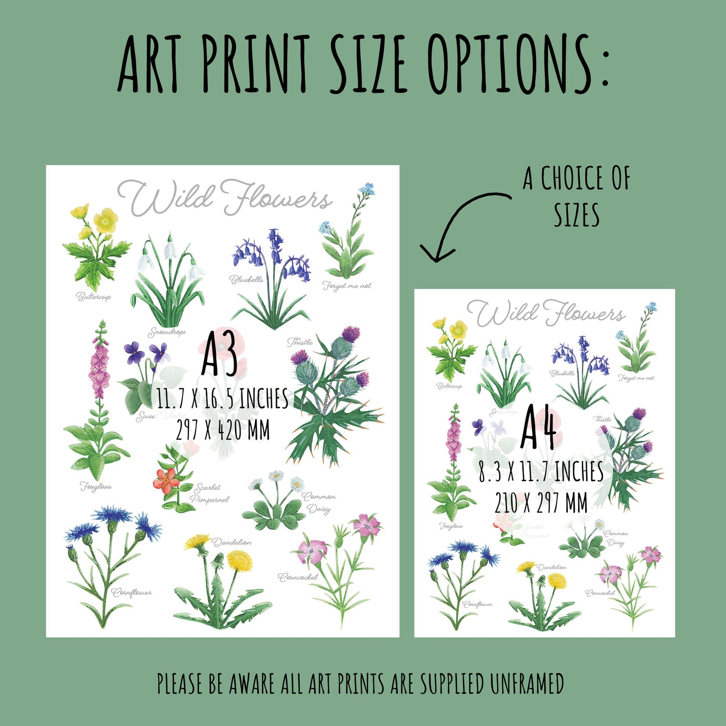 British Wildflower Art Print - A4 & A3 Unframed Botanical Illustration