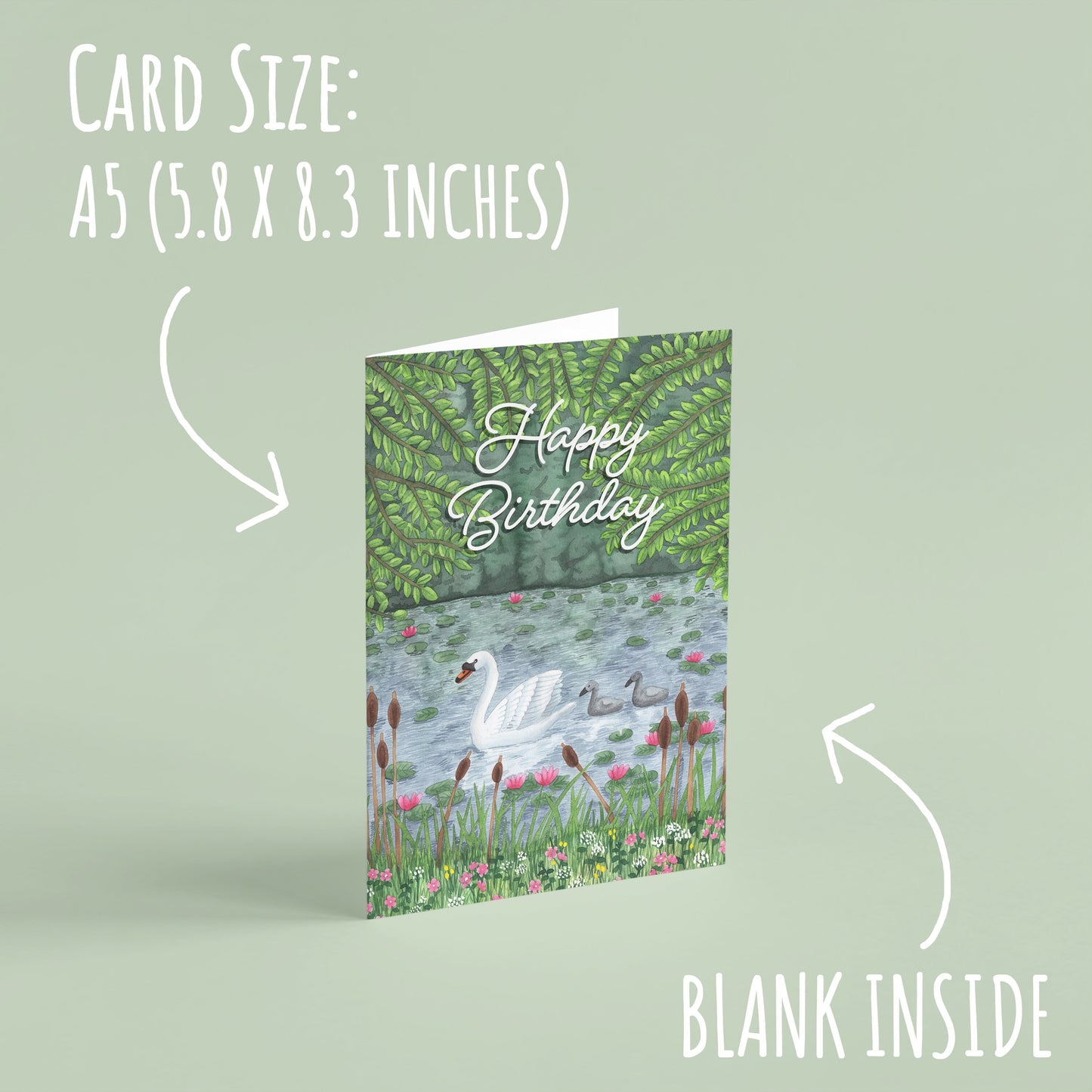 Swan Birthday Card