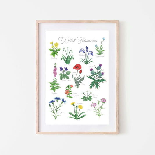 British Wildflower Art Print - A4 & A3 Unframed Botanical Illustration