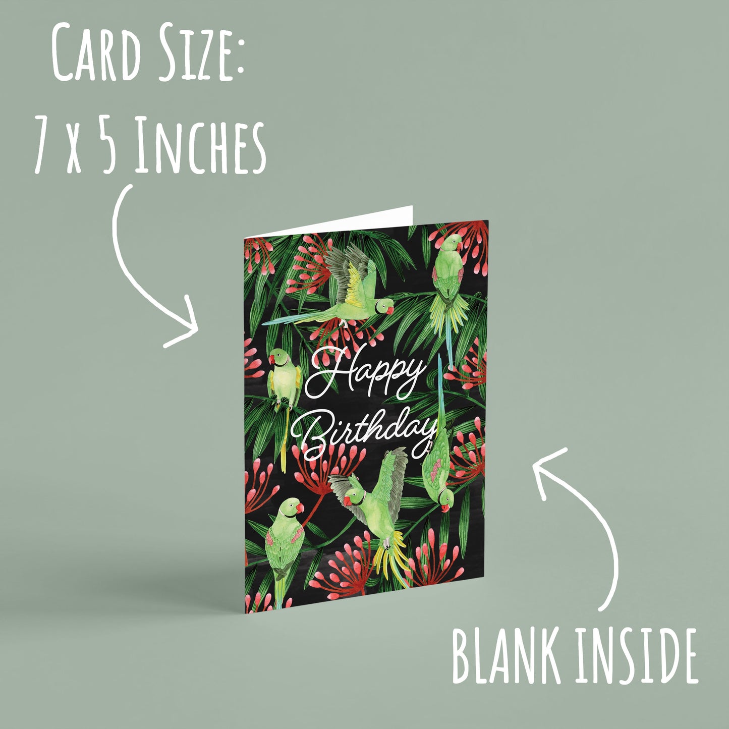 Ring-necked Parakeet Birthday Card