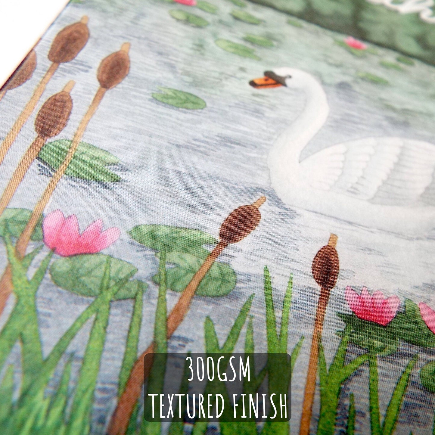 Swan Birthday Card