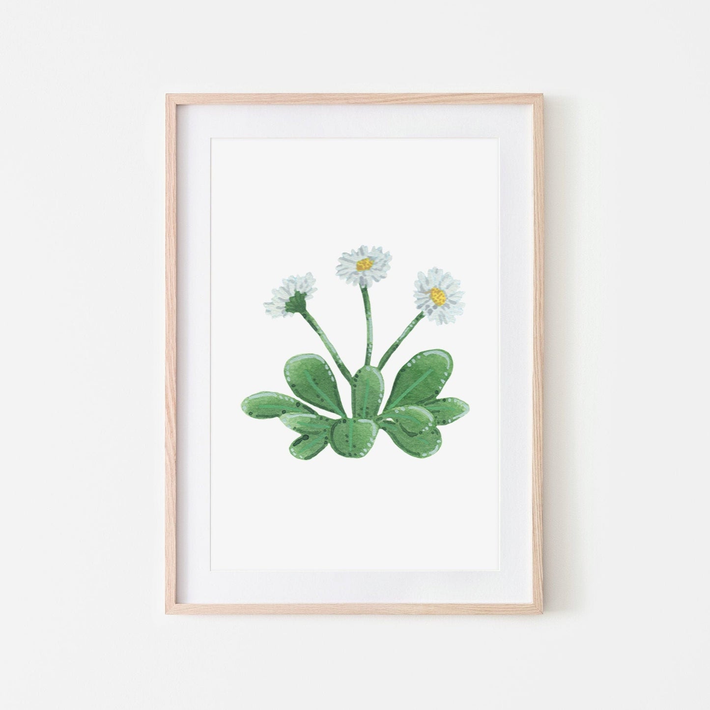 Hand painted white daisy plant with green leaves and yellow centers, shown in a wooden frame. (frame not included in purchase)