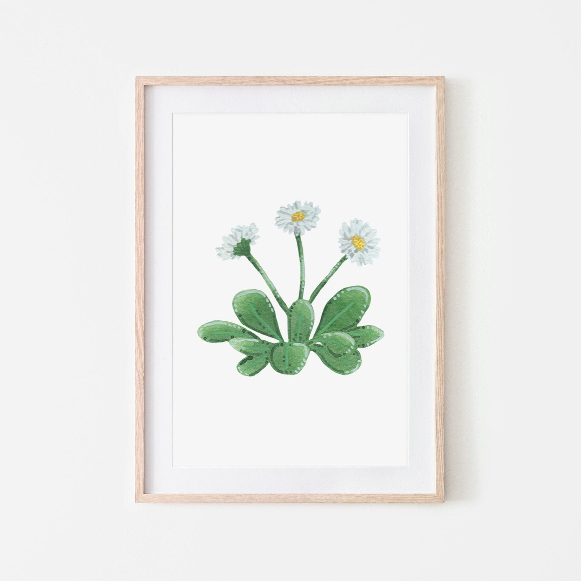 Hand painted white daisy plant with green leaves and yellow centers, shown in a wooden frame. (frame not included in purchase)