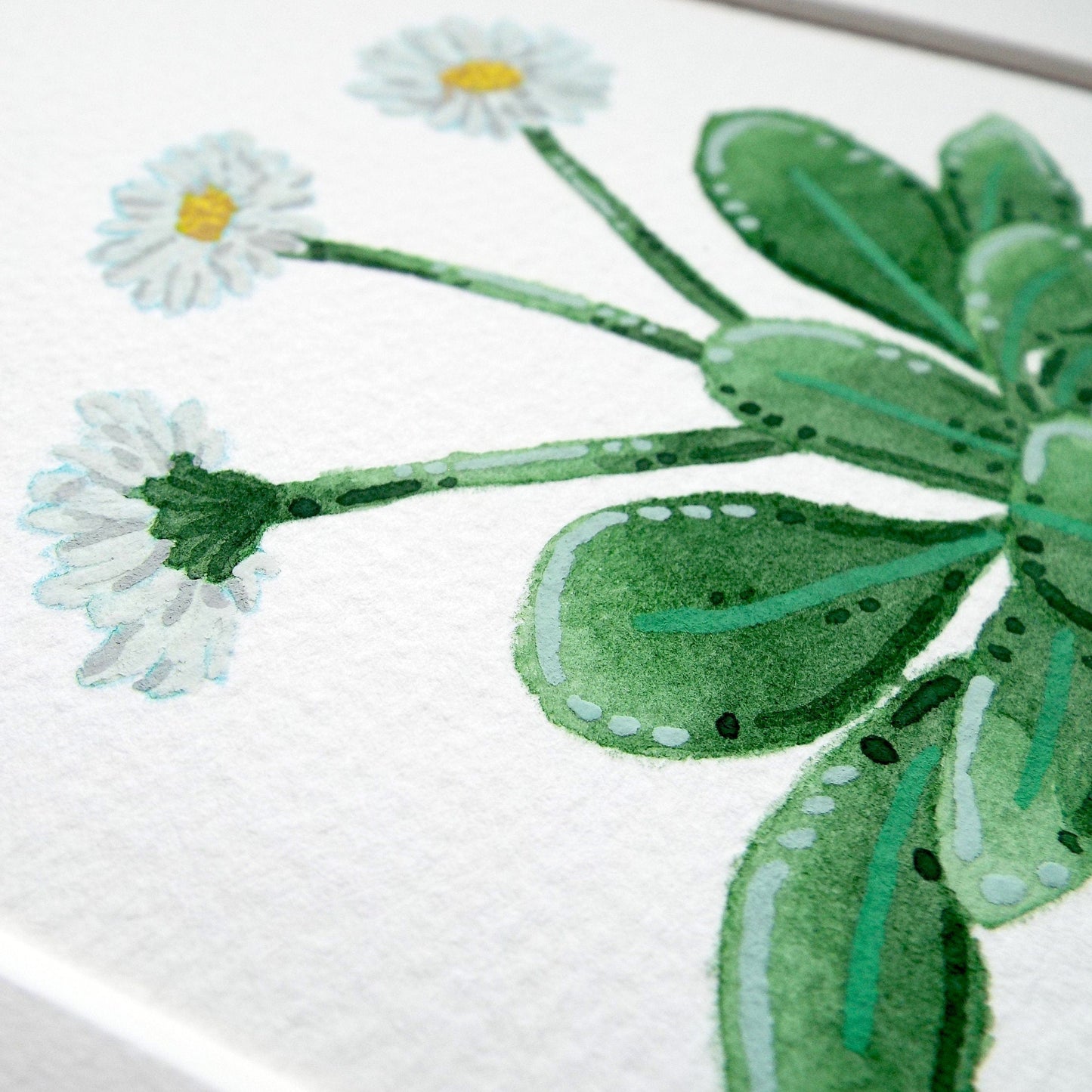 Close-up of a detailed illustration of green leaves and white flowers of a daisy plant on a white background