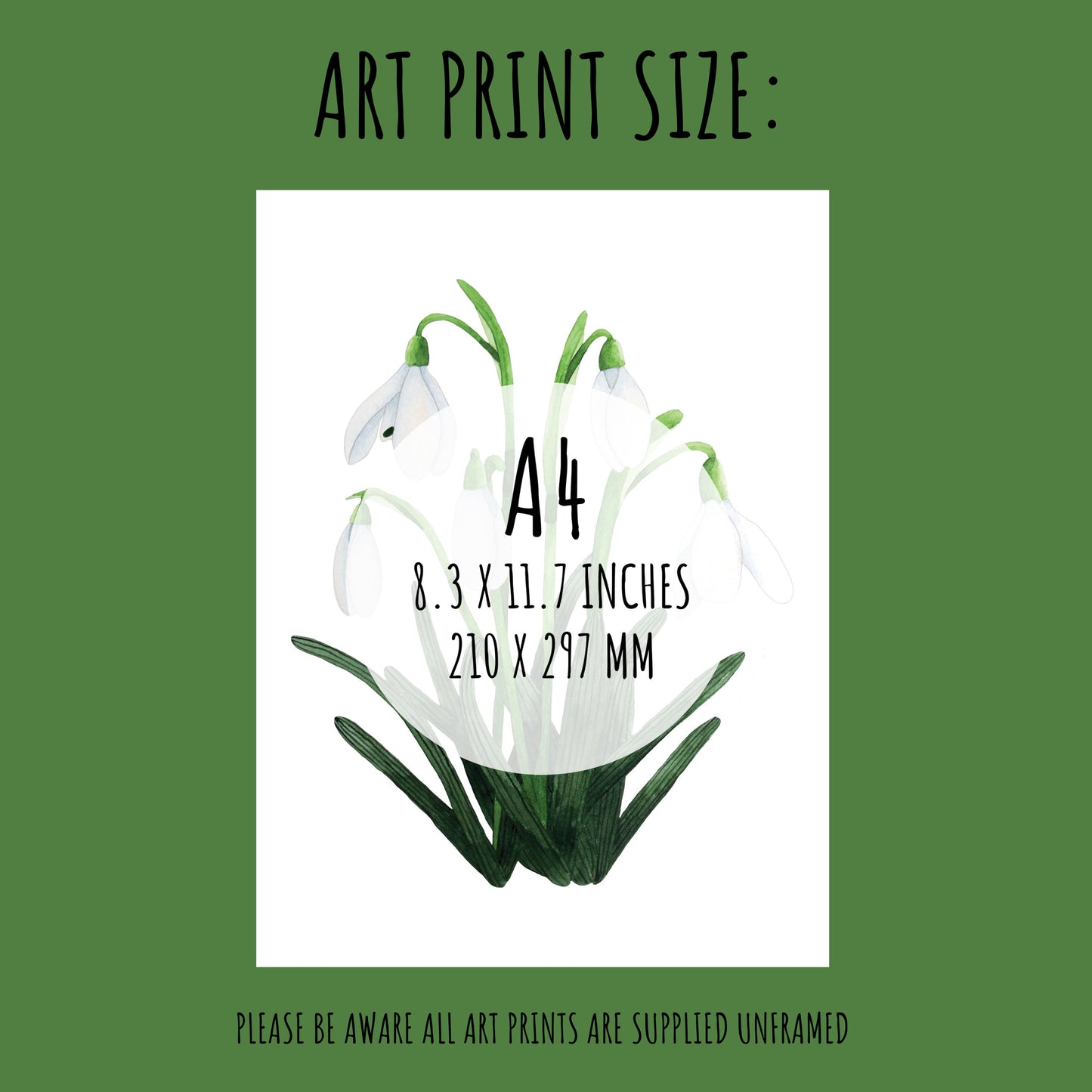 Snowdrop Art Print - A4 Unframed Botanical Watercolour Illustration