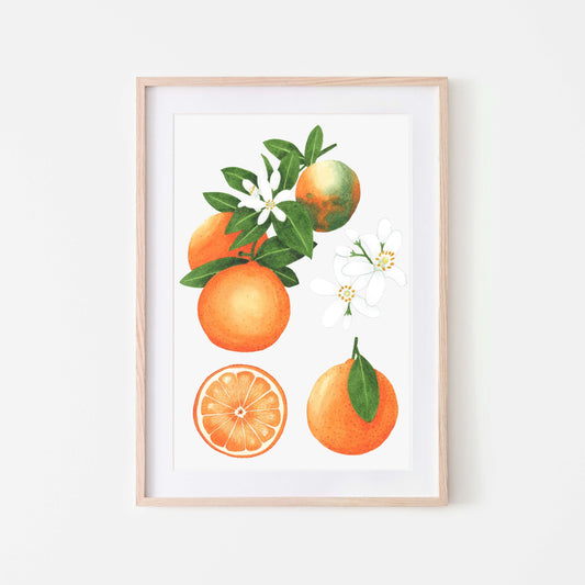 Botanical Orange Art Print - A4 & A5 Citrus Illustration for Kitchen Wall Deco