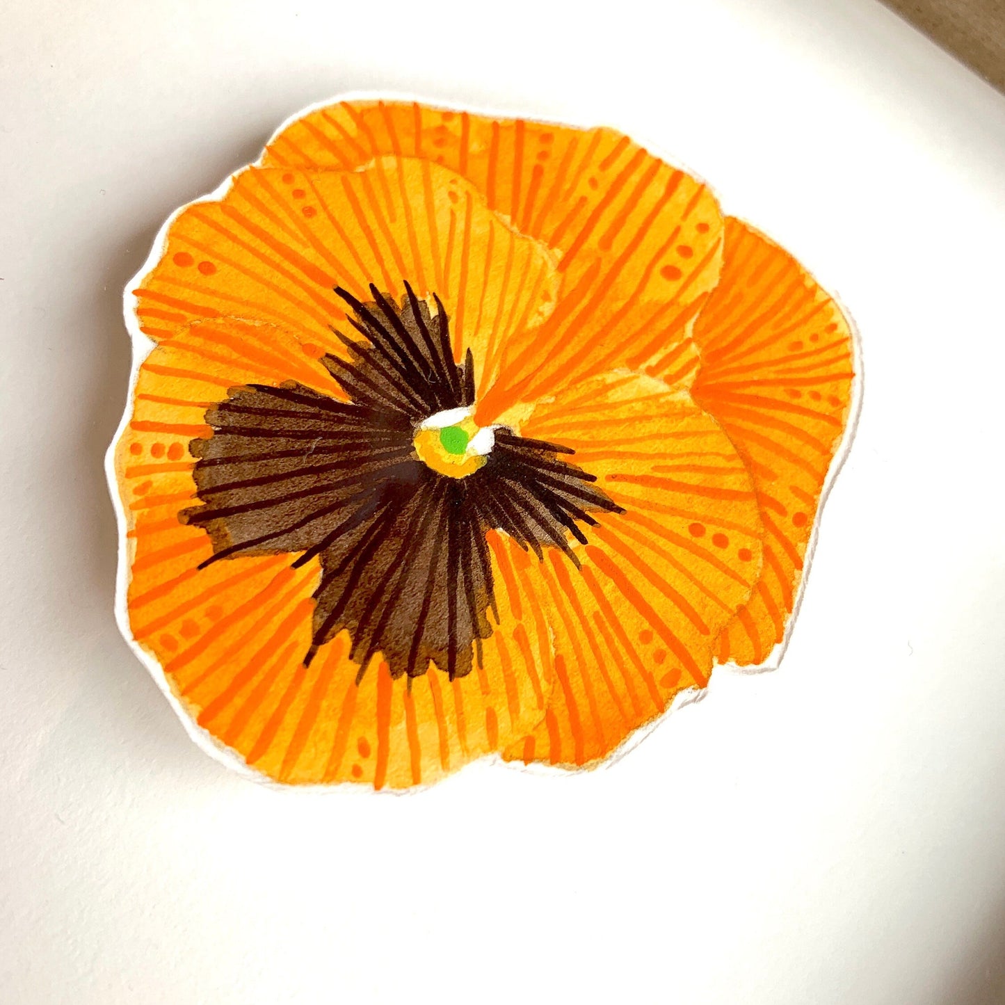 Orange and black pansy flower close up showing the texture and line work 