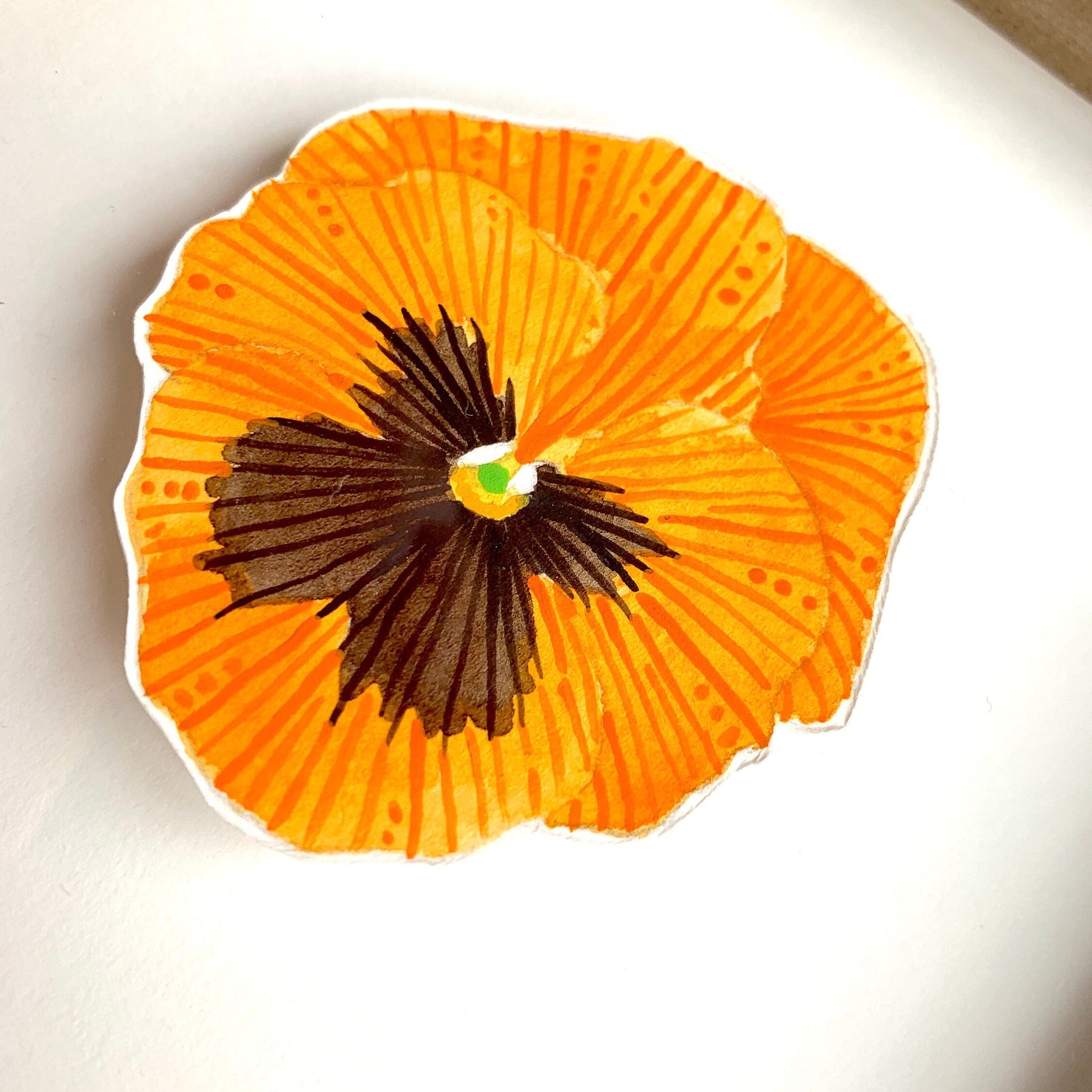 Orange and black pansy flower close up showing the texture and line work 