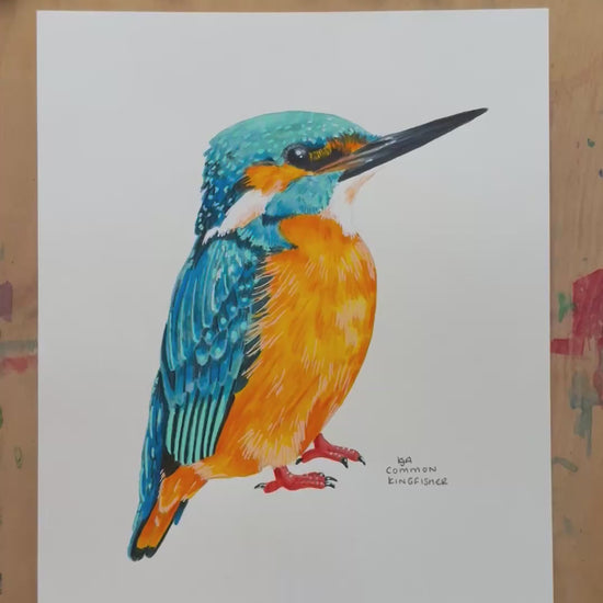 A video zooming in on the kingfisher artwork showing the textures and details of the illustration and paper stock.