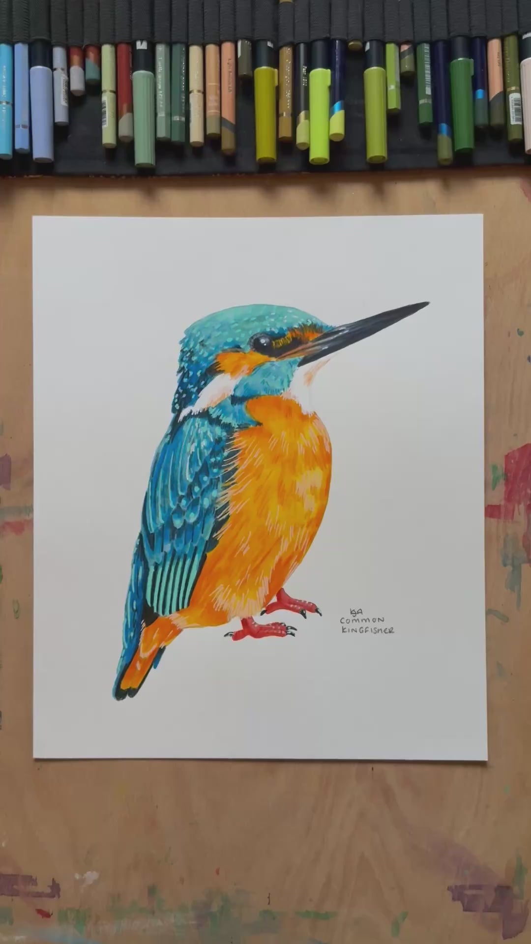 A video zooming in on the kingfisher artwork showing the textures and details of the illustration and paper stock.