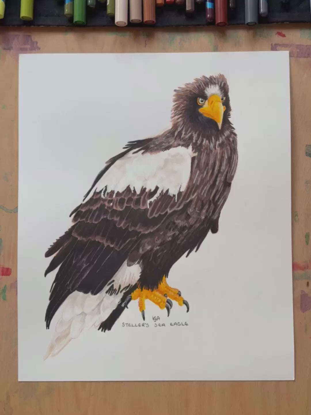 A video zooming in of the steller's sea eagle artwork showing the details.