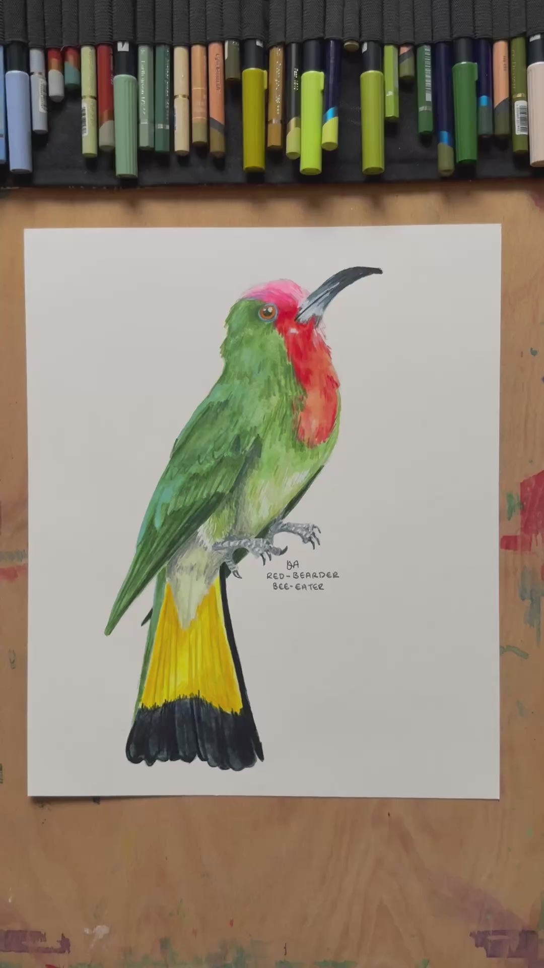 A video zooming in on the Red-bearded Bee-eater artwork showing the details and textures of the illustration and paper stock.