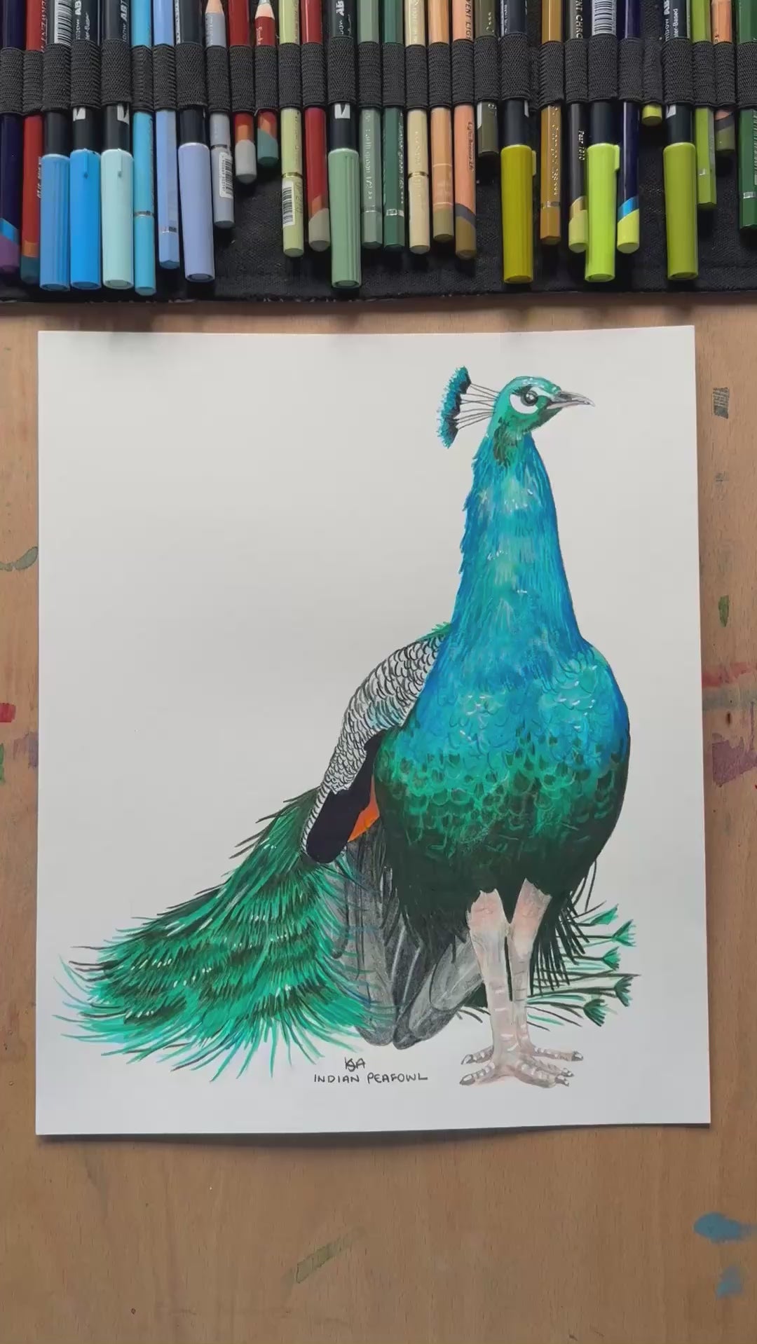 A video zooming in on to the peacock artwork, showing the details and textures of the illustration and paper stock.