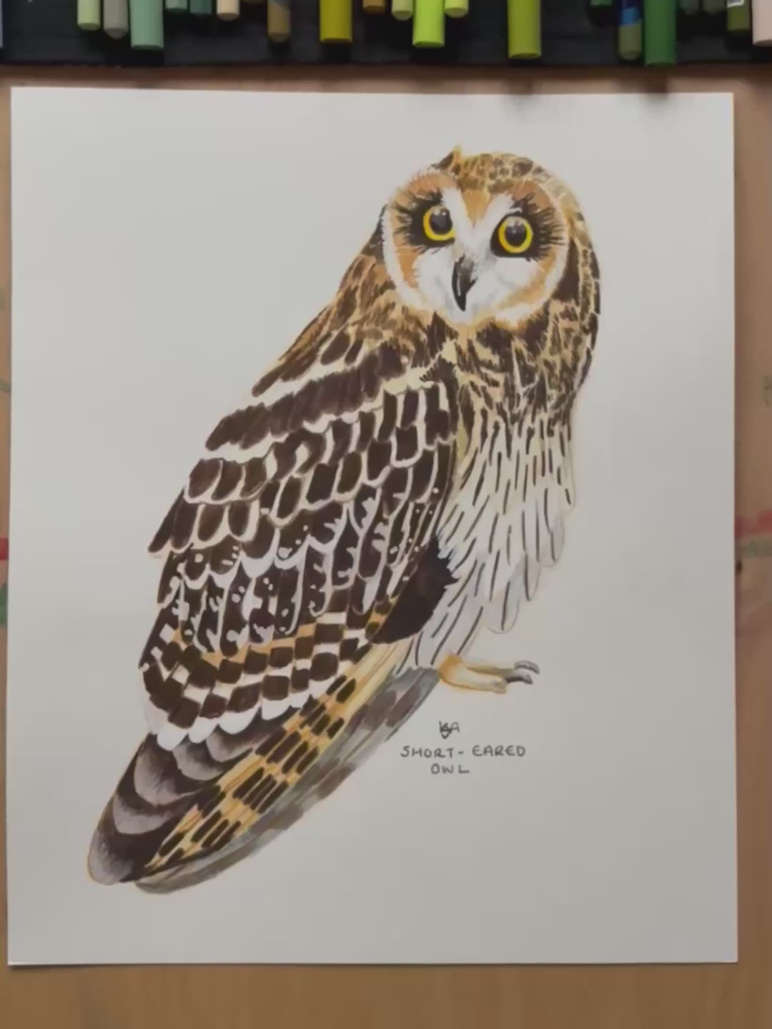 A video of the short eared owl artwork zooming in on the details and textures of the painting.