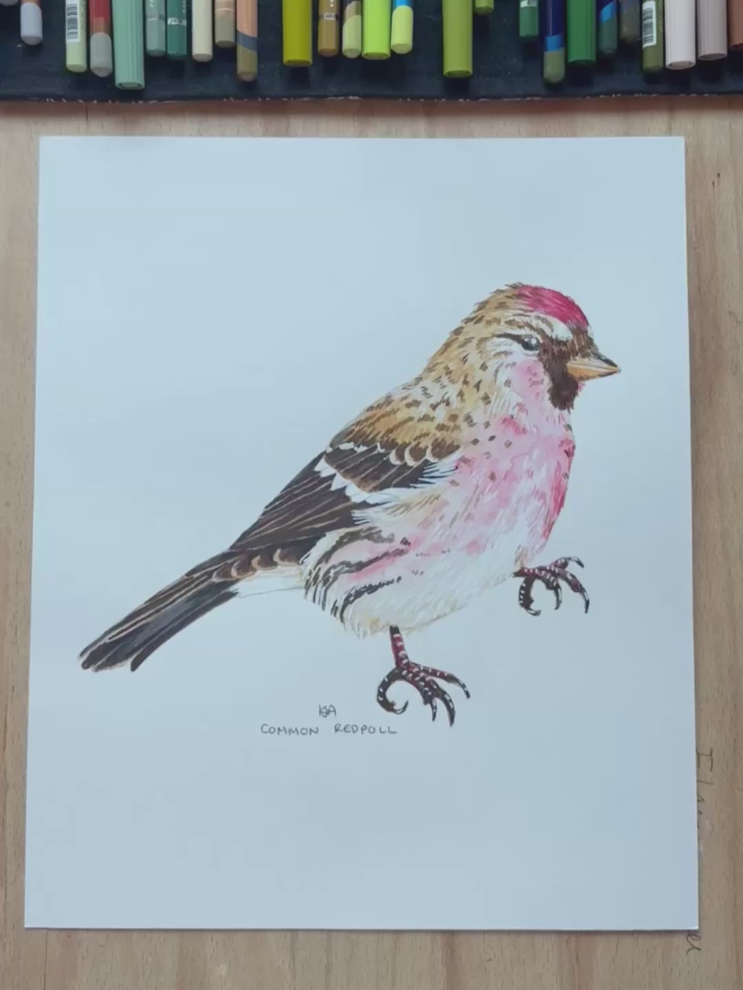 A video zoming in to the common redpoll bird artwork showing the close up details and textures of this piece. 