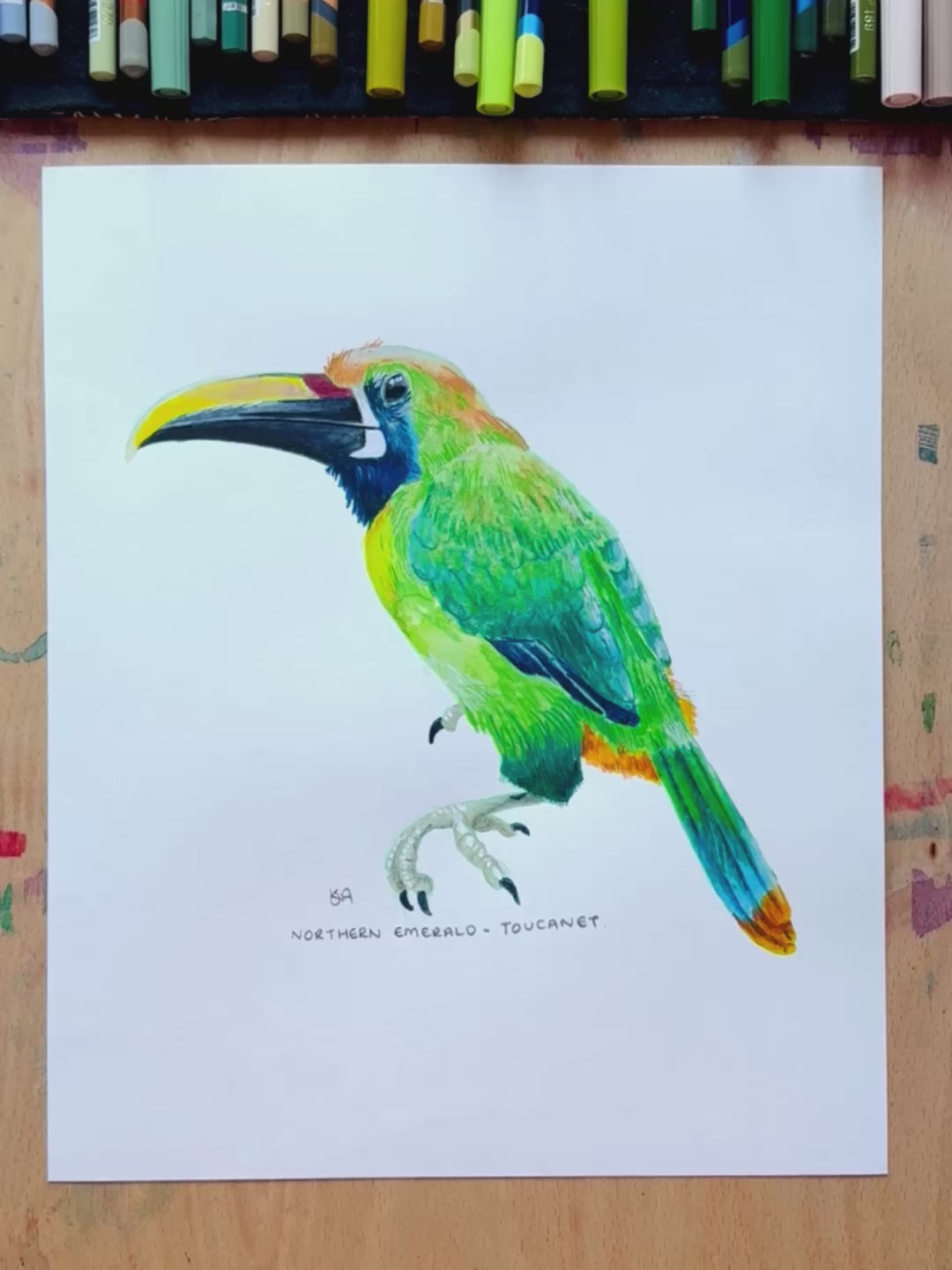 A video showing the close up details and textures of the Northern Emerald Toucanet painting. 