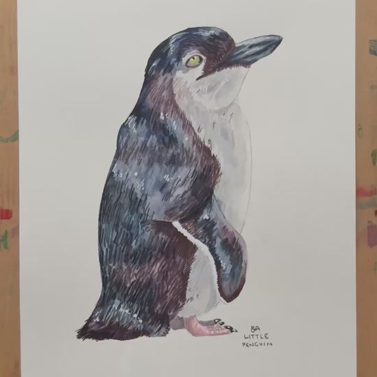 A video zooming in on to the Little Penguin artwork, showing the details and textures of the illustration and paper stock.