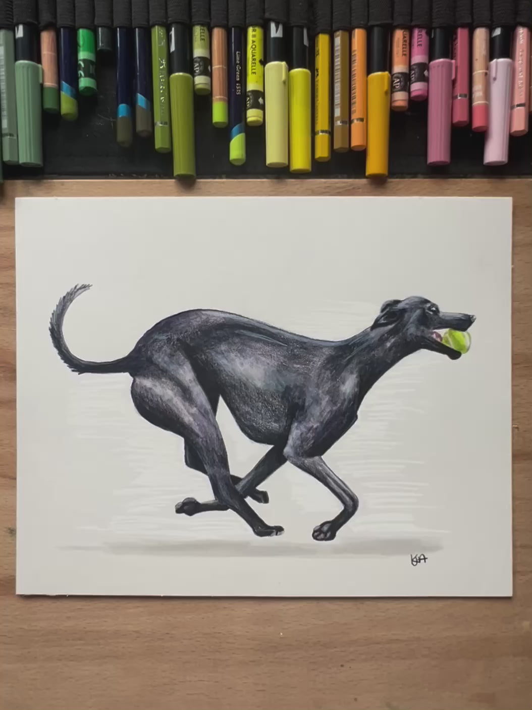 A video showing the close up of colour and textures of a hand drawn mixed media black whippet dog in a mid running position with a tennis ball in its mouth.