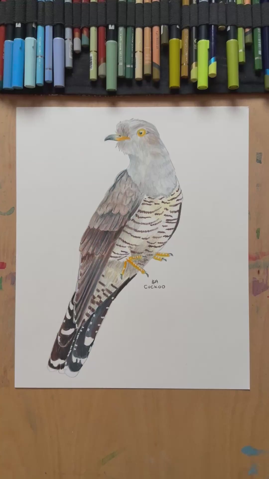 A video zooming in o n the cuckoo artwork showing the textures and details of the illustration and paper stock.