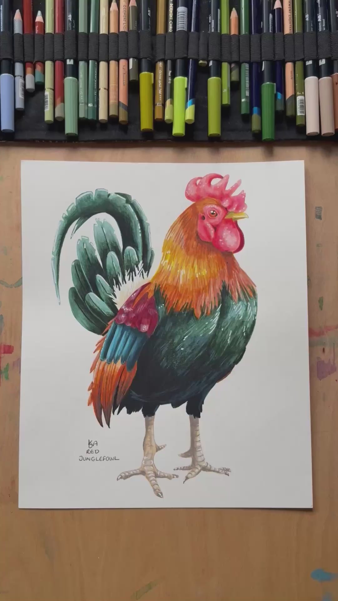 A video zooming in on to the rooster artwork, showing the details and textures of the illustration and paper stock.