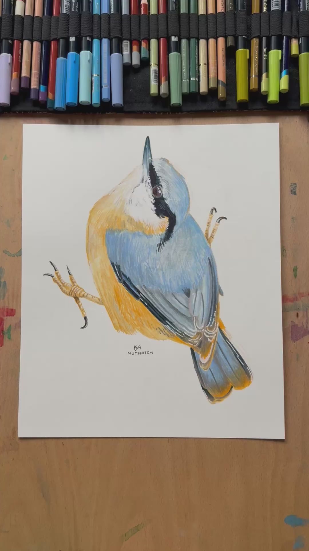 A videoing zooming in on the huthach bird illustration showing the details and textures of the artwork.