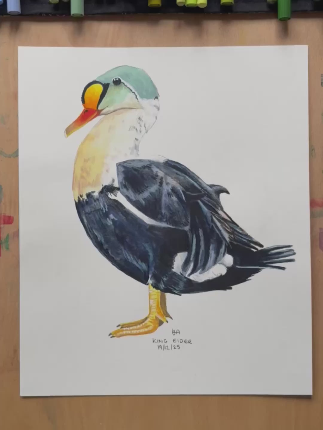 A video showing the close up details and textures of the King Eider Duck painting