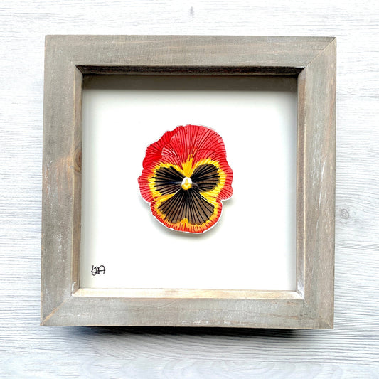 Hand painted red, yellow, and black pansy flower in watercolour and gouache in a rustic washed effect box frame.