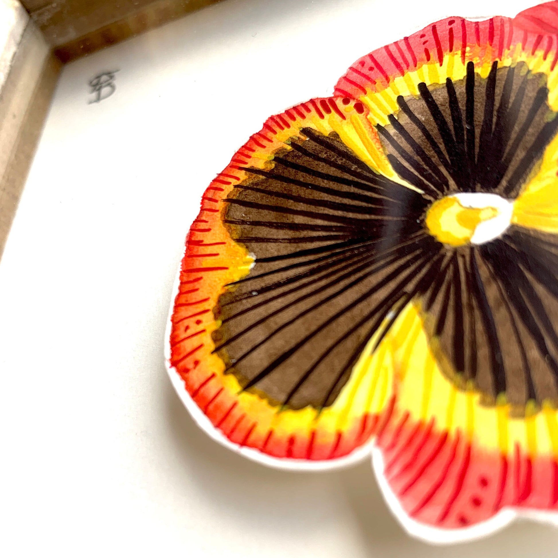 Hand painted red yellow and black pansy watercolour with gouache detail, a close up of the line and texture details