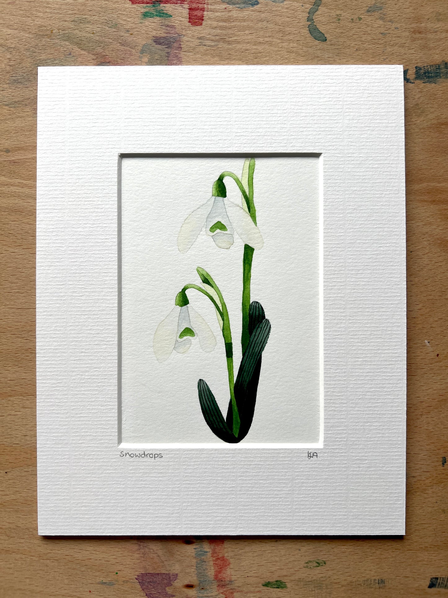A hand-painted watercolor painting of a snowdrop flower with a white petal, green stem, and leaves on a white background, framed in a picture mount.