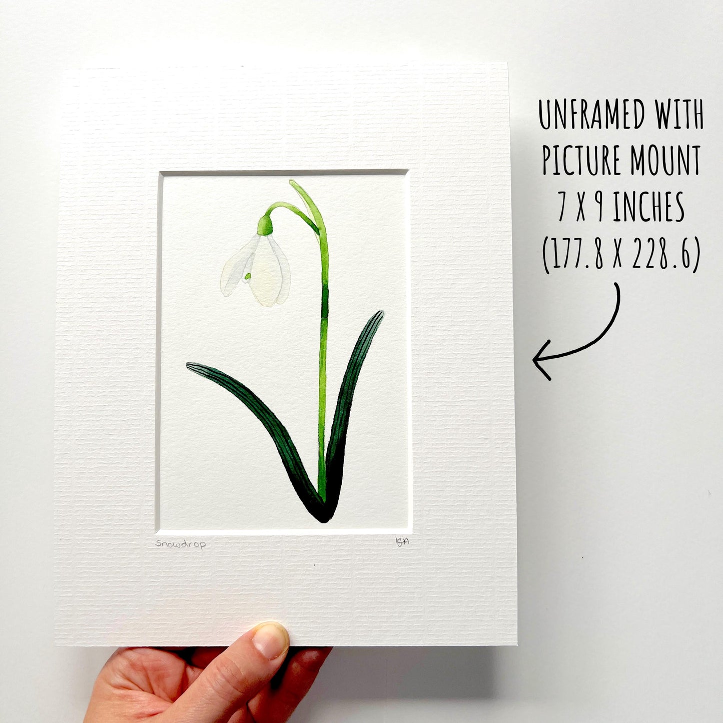 Mounted snowdrop painting laid flat, 7x9 inch size