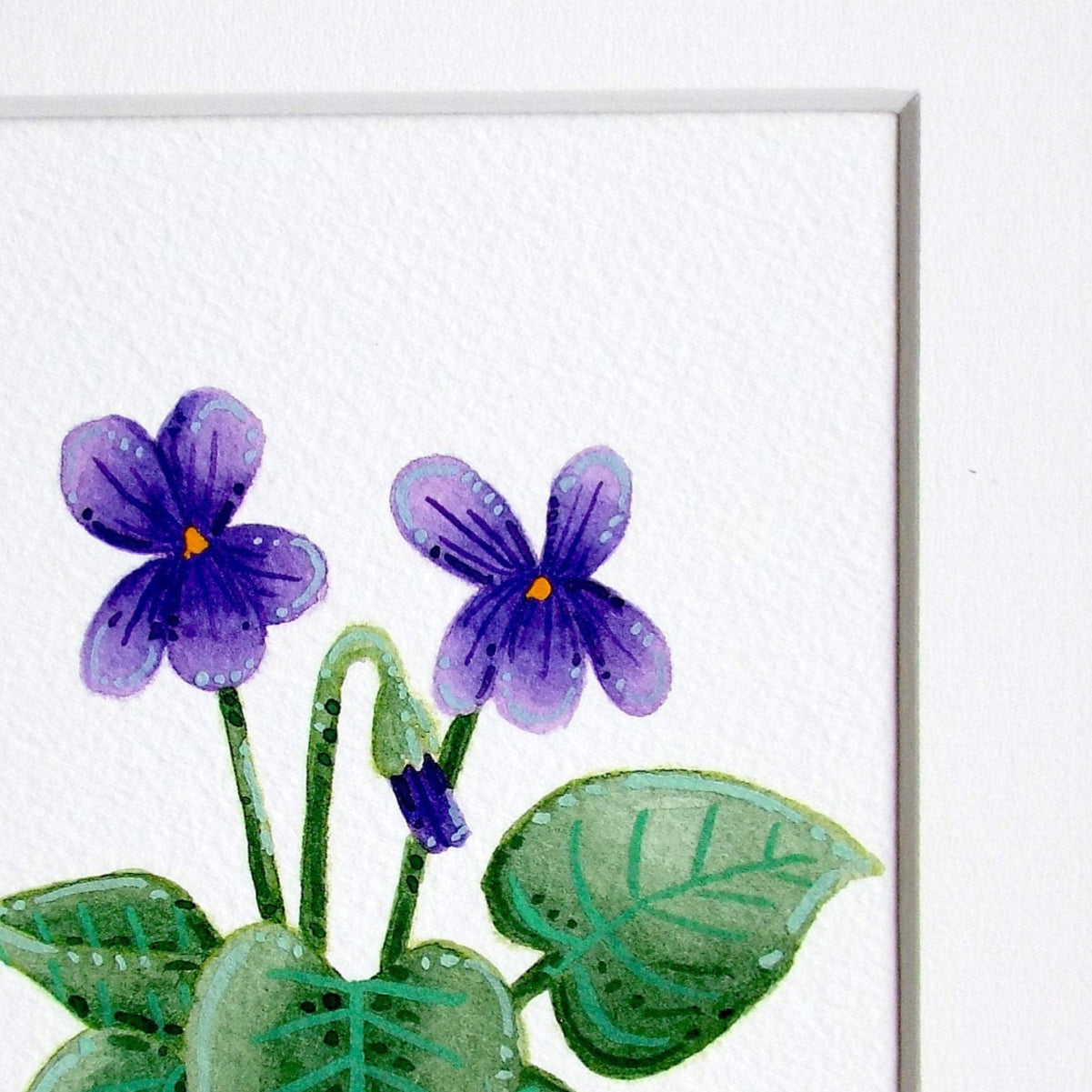 Sweet violet flower watercolour on mounted paper close up showing the painted details and textures