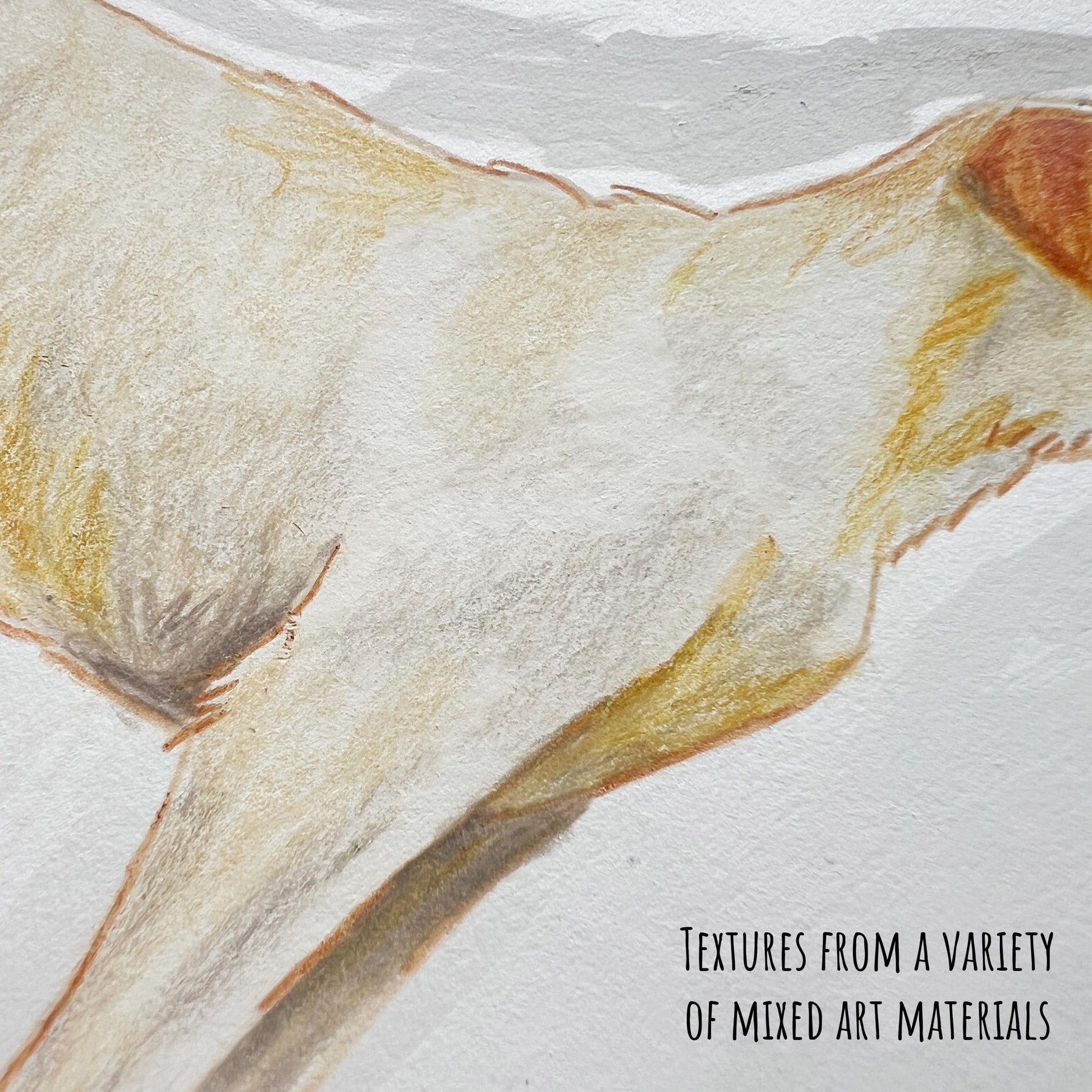 Close-up of yellow labrador illustration on hot-pressed paper showing colours and textures.