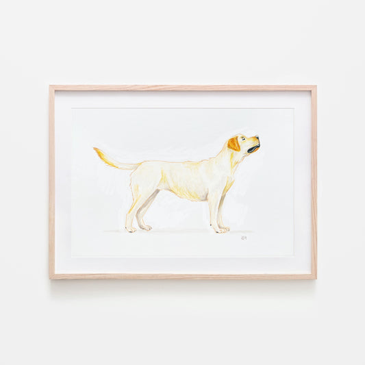 Original artwork of a yellow Labrador retriever in standing pose created using mixed media art materials. unframed