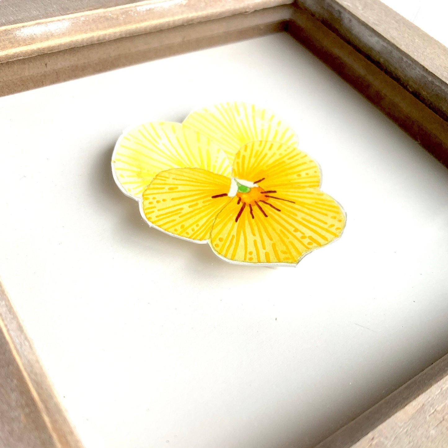 Yellow pansy flower illustration in a wooden frame on a white background close up