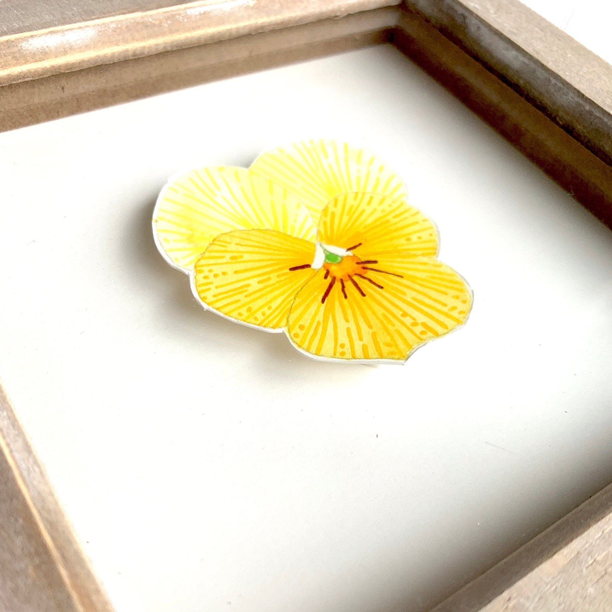 Yellow pansy flower illustration in a wooden frame on a white background close up