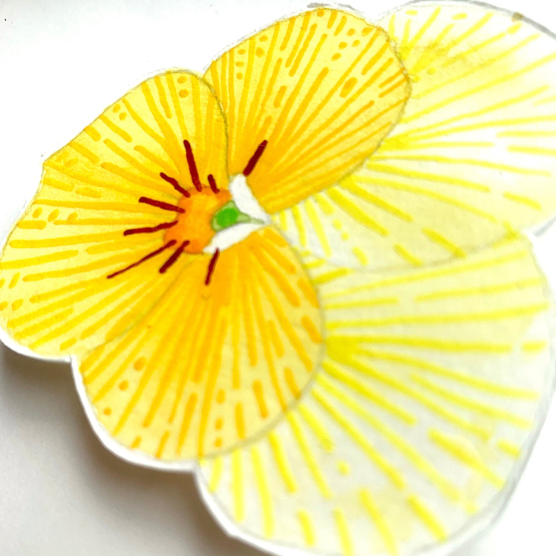Framed yellow pansy watercolour and gouache painting close up showing the details and textures of the artwork